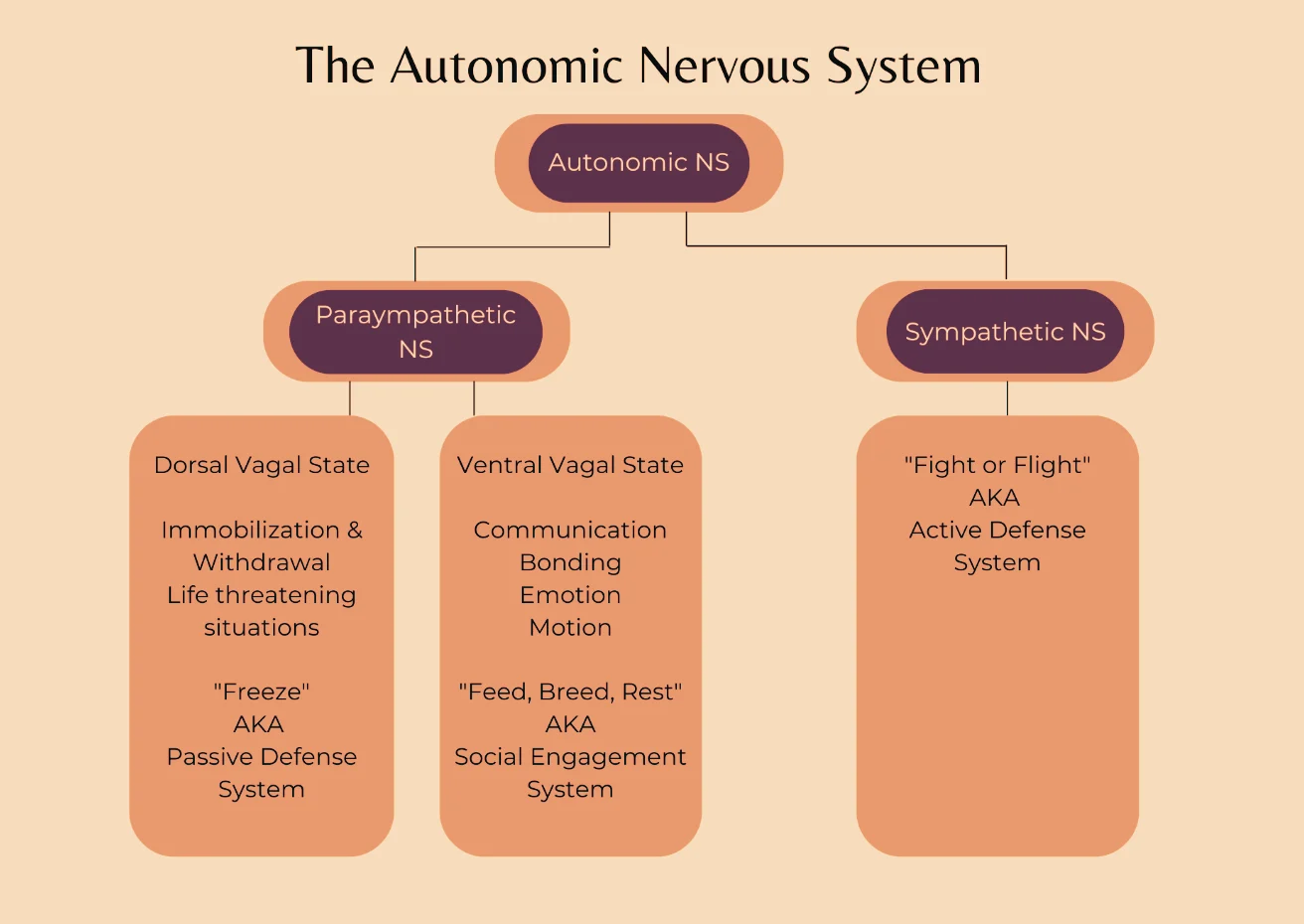 Autonomic Nervous system Milestone