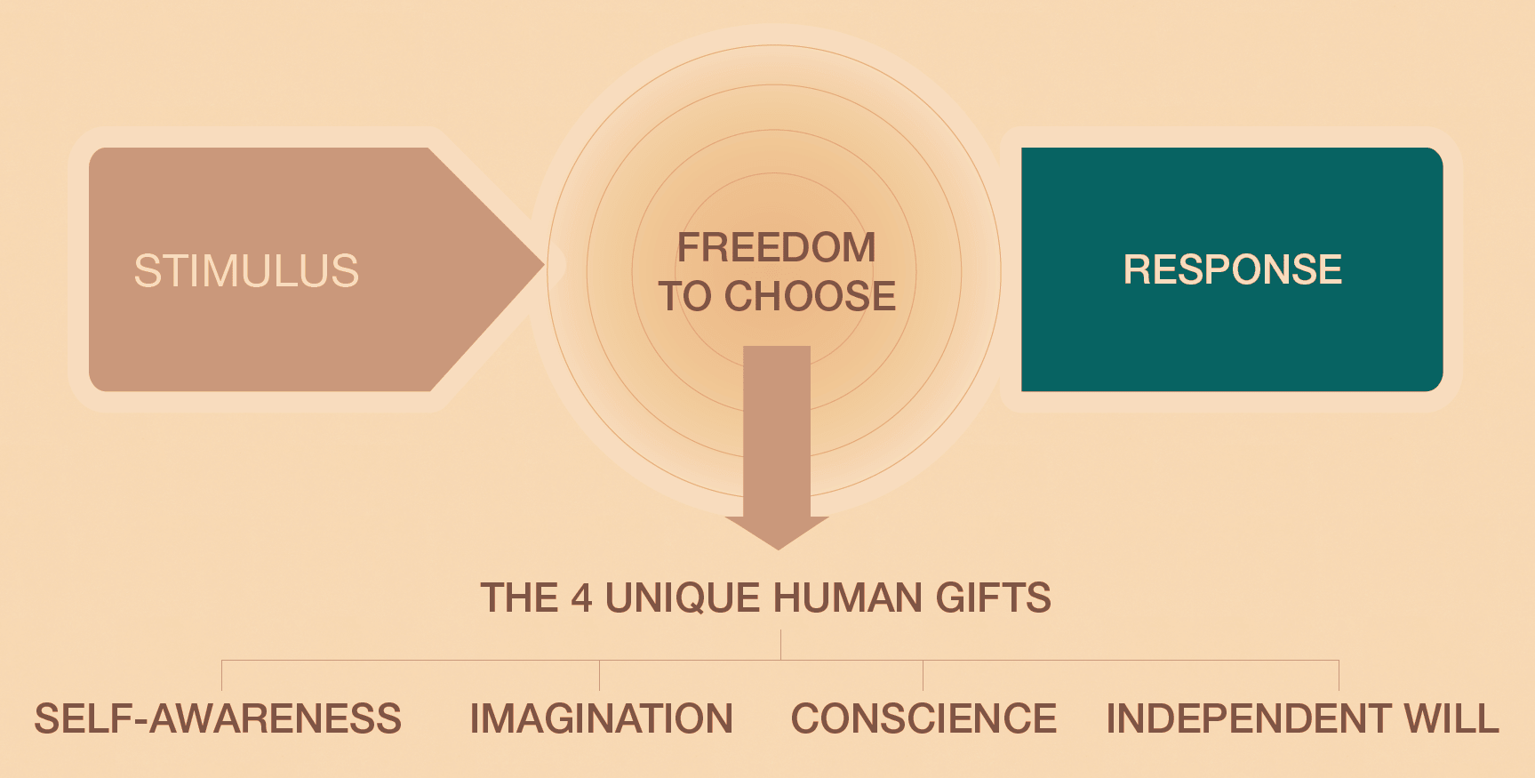 Freedom To Choose Stimulus VS Response Unique Human Gifts Milestone