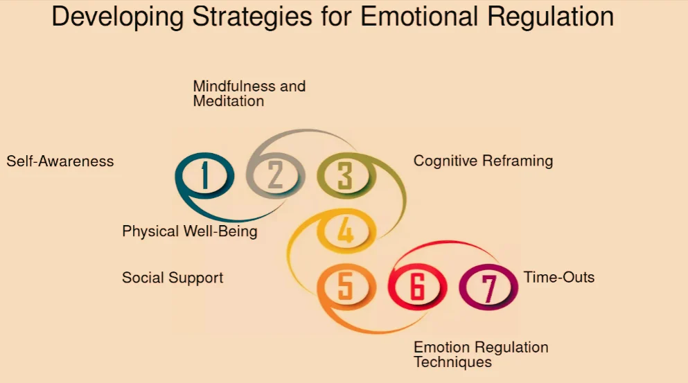 Milestone Developing Strategies For Emotional Regulation With Young Adults